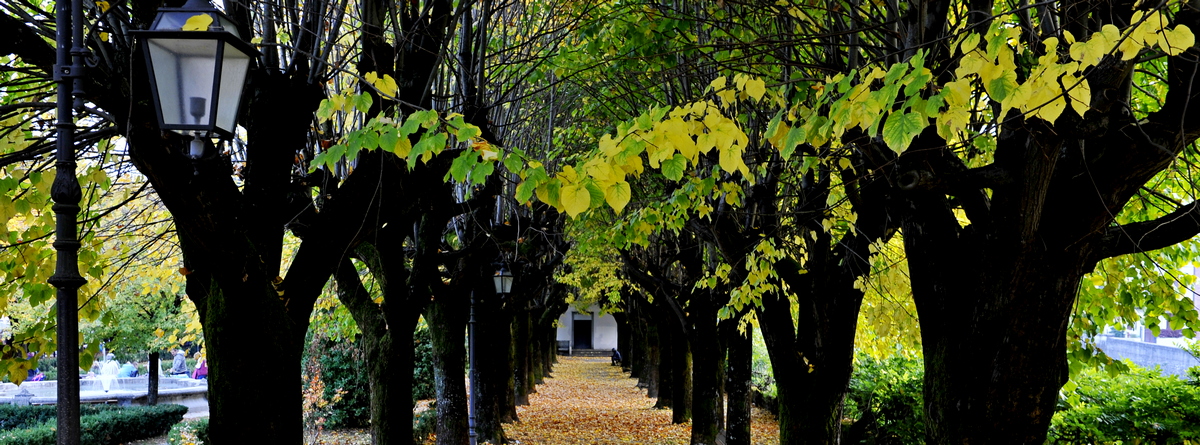 autunno7.jpg